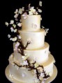 /products/pasteles-de-bodas/